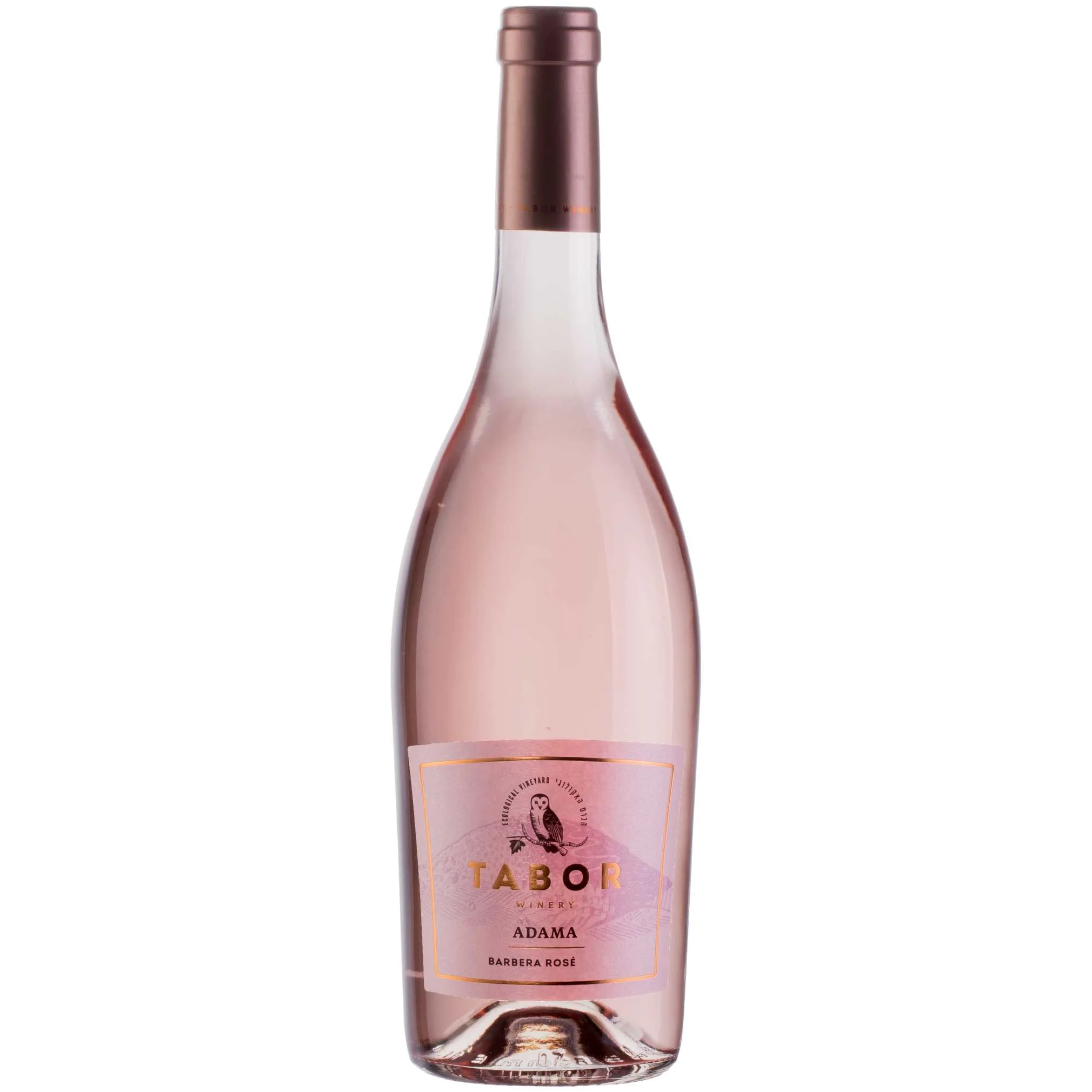 Tabor Adama Barbera Rosé 2023